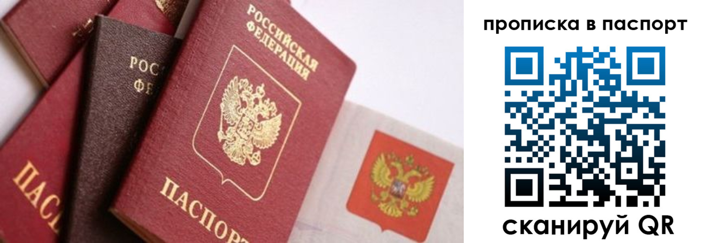прописка штамп в Талдоме